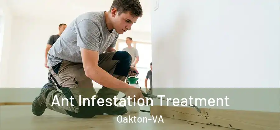  Ant Infestation Treatment Oakton-VA