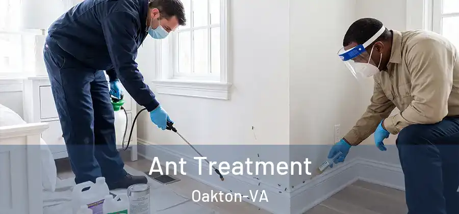 Ant Treatment Oakton-VA