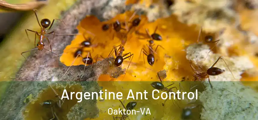 Argentine Ant Control Oakton-VA