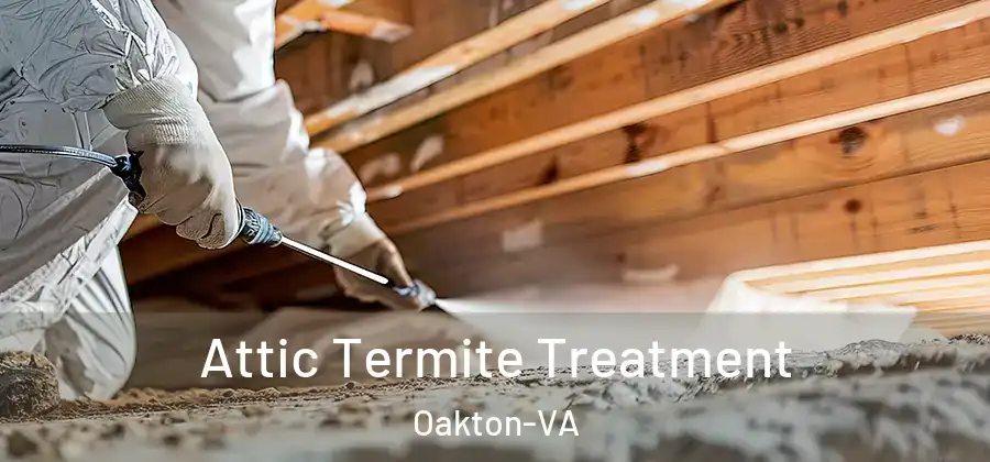 Attic Termite Treatment Oakton-VA