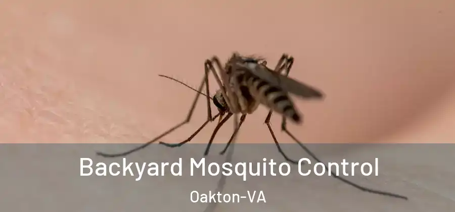 Backyard Mosquito Control Oakton-VA