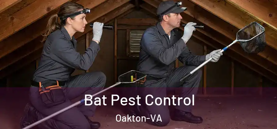 Bat Pest Control Oakton-VA