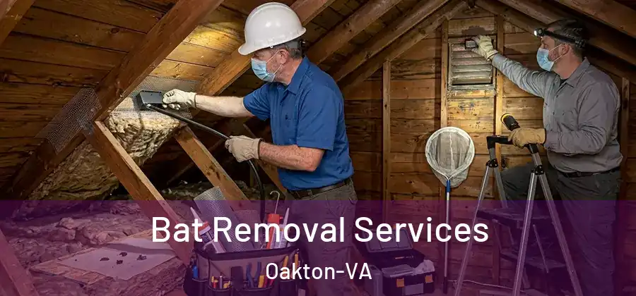Bat Removal Services Oakton-VA