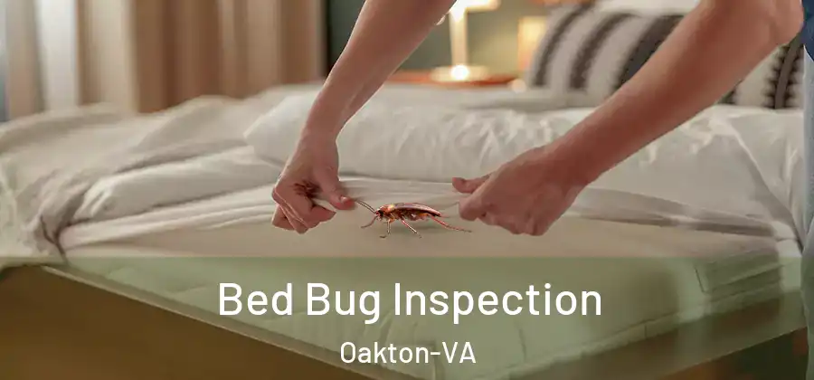 Bed Bug Inspection Oakton-VA