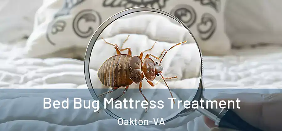 Bed Bug Mattress Treatment Oakton-VA