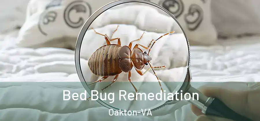 Bed Bug Remediation Oakton-VA