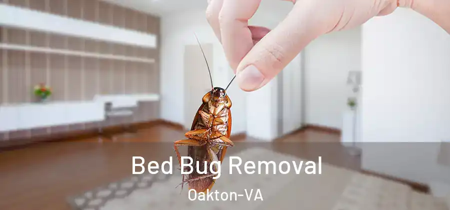 Bed Bug Removal Oakton-VA