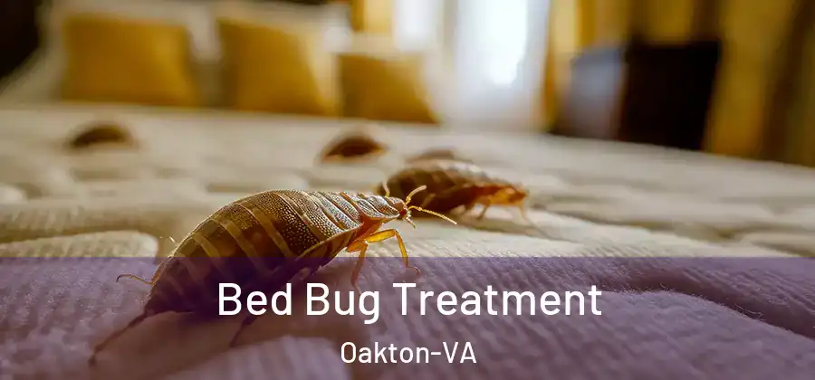 Bed Bug Treatment Oakton-VA