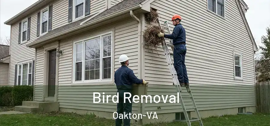  Bird Removal Oakton-VA
