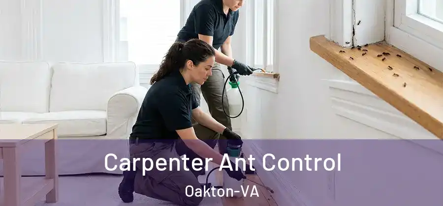  Carpenter Ant Control Oakton-VA