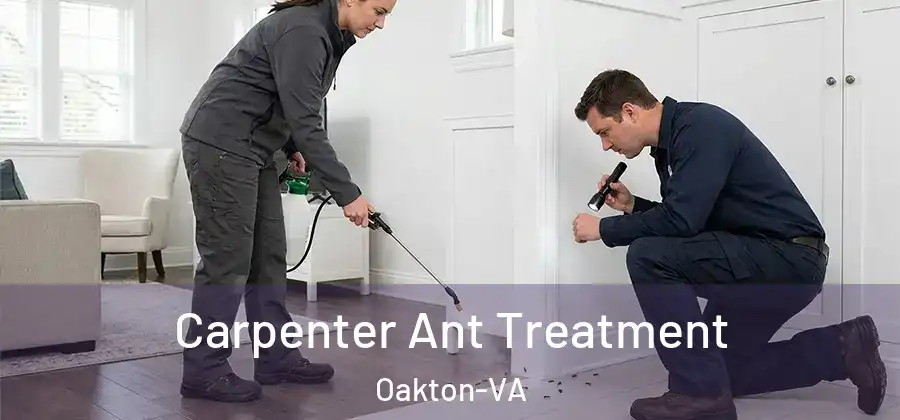 Carpenter Ant Treatment Oakton-VA