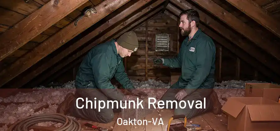 Chipmunk Removal Oakton-VA