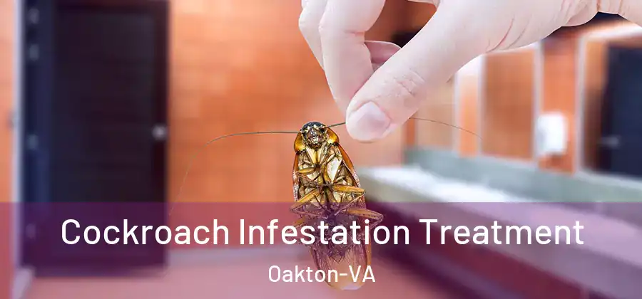 Cockroach Infestation Treatment Oakton-VA