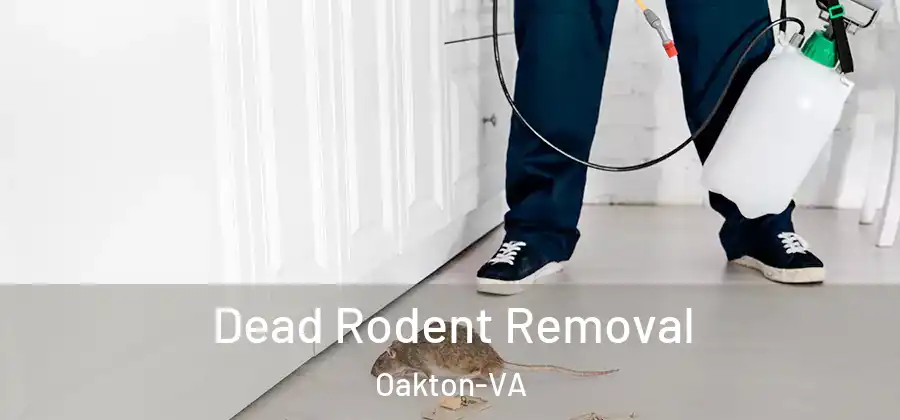 Dead Rodent Removal Oakton-VA
