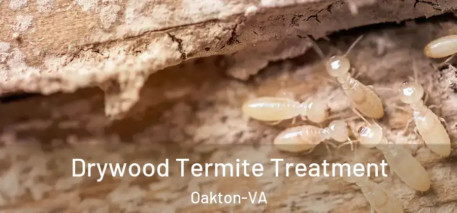  Drywood Termite Treatment Oakton-VA