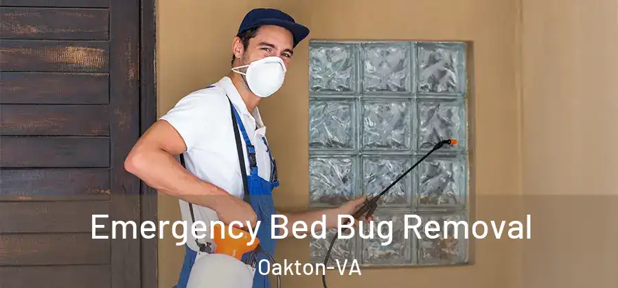 Emergency Bed Bug Removal Oakton-VA