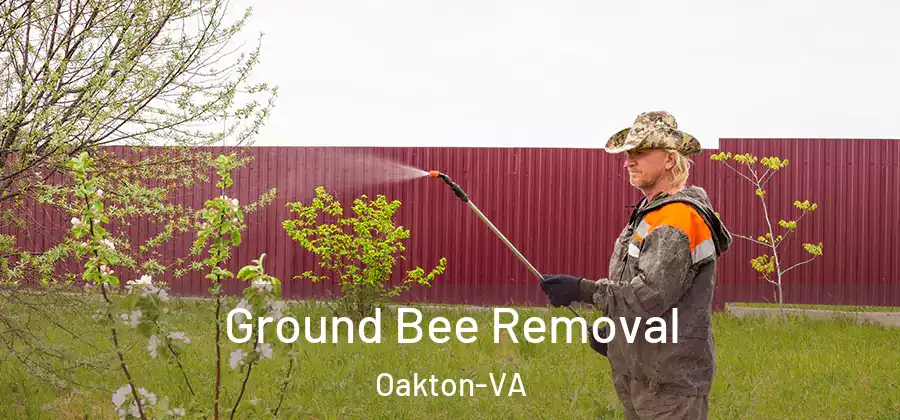 Ground Bee Removal Oakton-VA