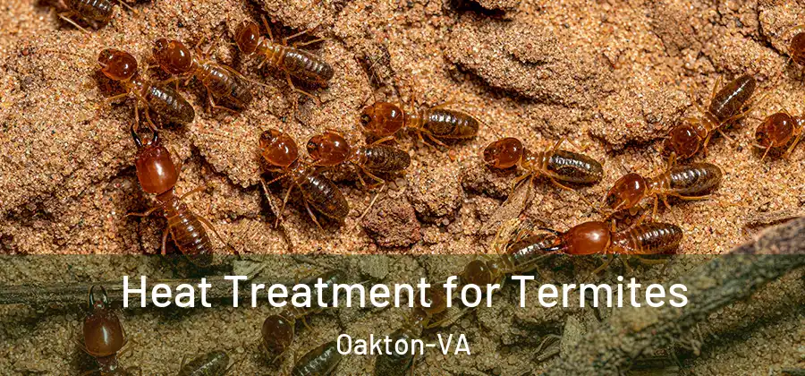 Heat Treatment for Termites Oakton-VA