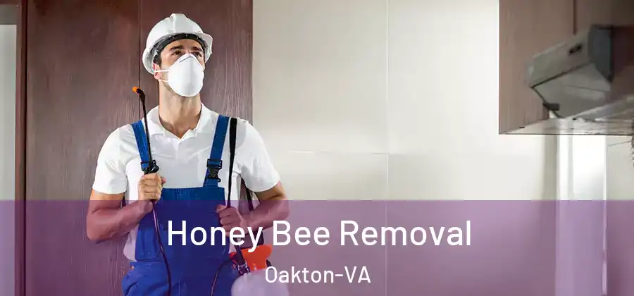 Honey Bee Removal Oakton-VA