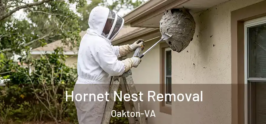 Hornet Nest Removal Oakton-VA