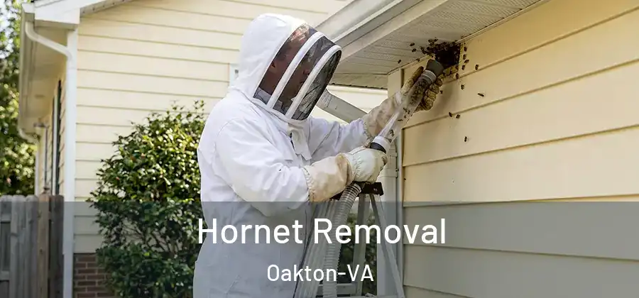 Hornet Removal Oakton-VA