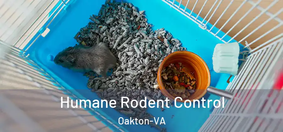 Humane Rodent Control Oakton-VA