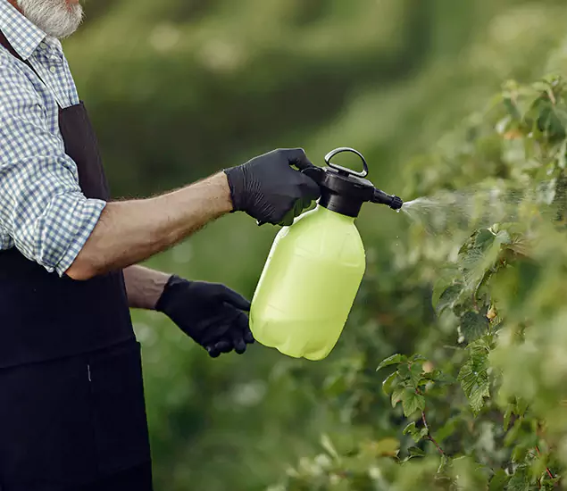Your Proven Mosquito Treatment Company in Oakton, VA