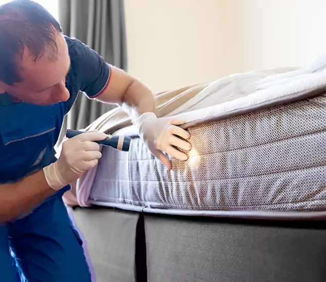 Trusted Bed Bug Cost Experts in Oakton, VA