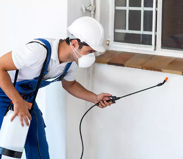 Your Professional Cockroach Exterminator in Oakton, VA