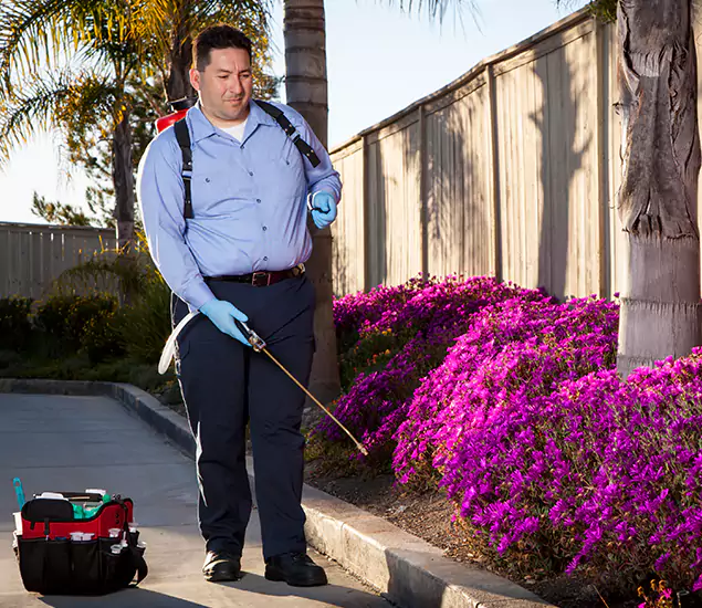 About Our Eco Safe Pest Control Experts in Oakton, VA