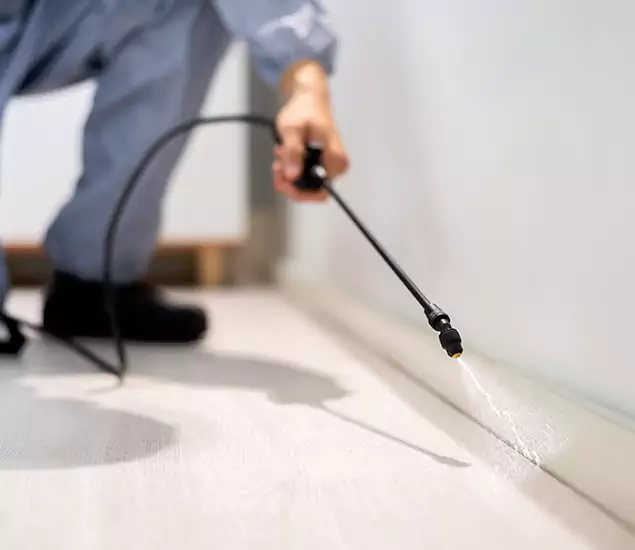 About Our Liquid Termite Treatment Experts in Oakton, VA
