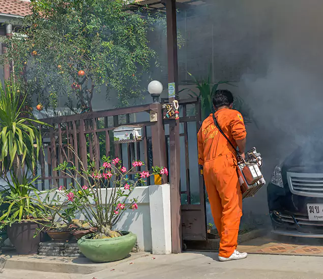 Your Proven Mosquito Fogging Company in Oakton, VA