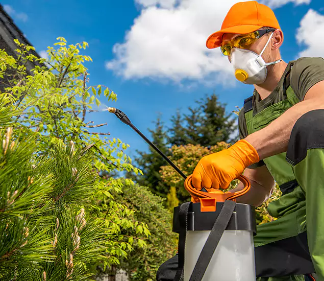 Your Best Bug Spray for Home Team in Oakton, VA