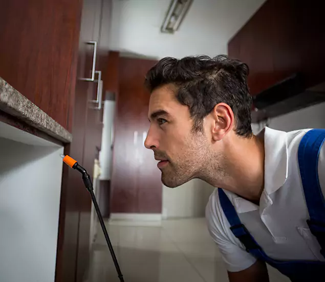 Expert Rodent in Attic Removal: Your Proven Pest Specialists in Oakton, VA