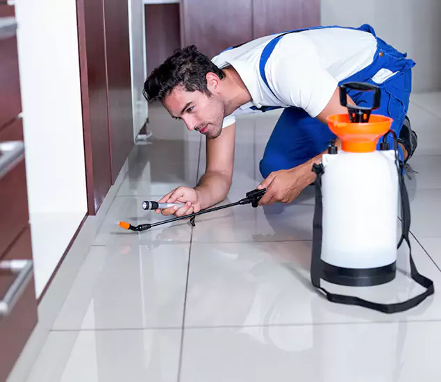 Advanced Slab Termite Treatment Experts You Can Trust&nbsp;in Oakton, VA