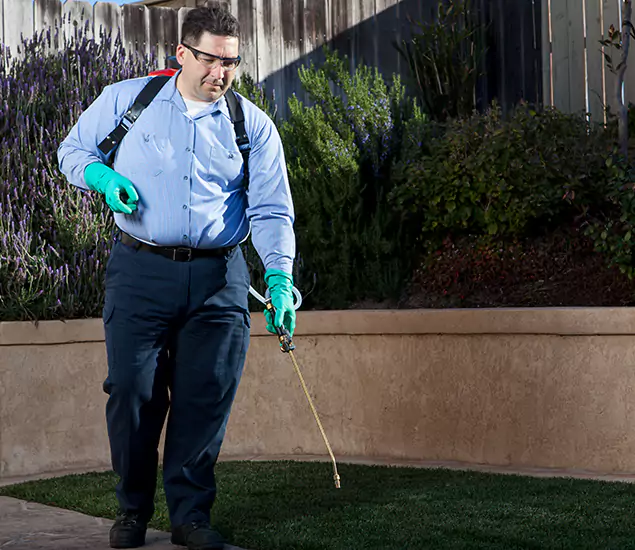 Reliable Termite Barrier Treatment Experts in Oakton, VA