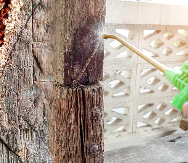 About Wood Termite Treatment Services in Oakton, VA