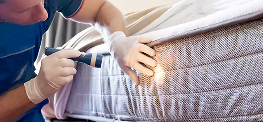 Residential Bed Bug Treatment Cost in Oakton