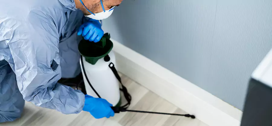 Fumigate Apartment Roaches in Oakton