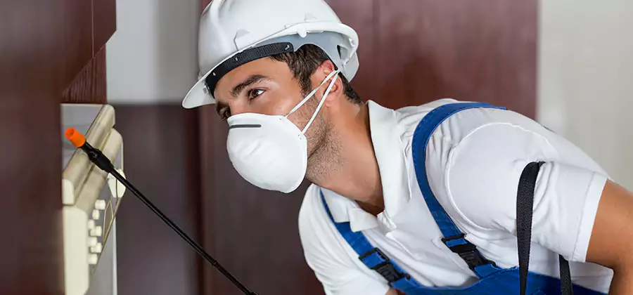 Injection Foam Treatment for Drywood Termites in Oakton