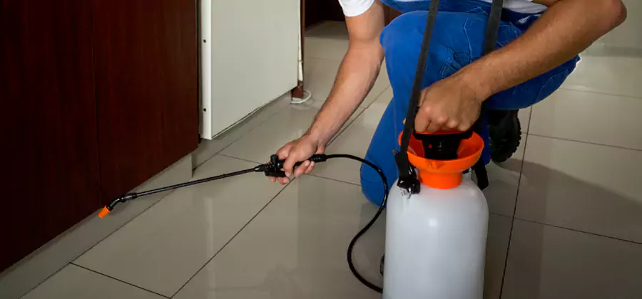 Indoor Mosquito Treatment in Oakton