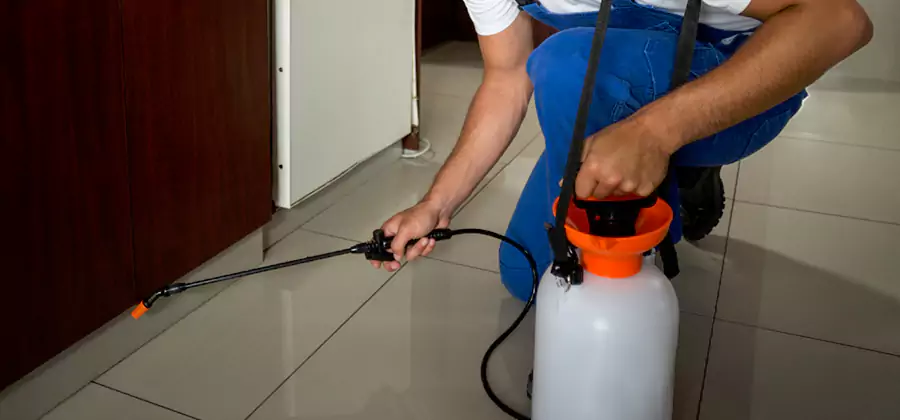 Indoor Insect Killer Solutions in Oakton