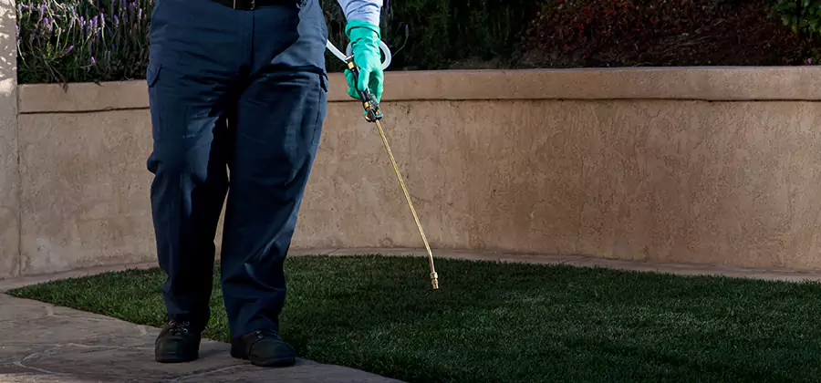 Soil Treatment for New Construction Termites in Oakton