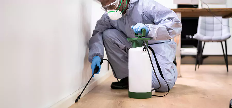 No Tent Termite Extermination With Electric Tool in Oakton