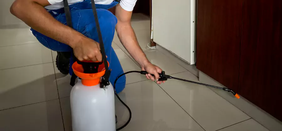One Time Termite Control in Oakton