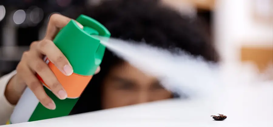 Child Safe Bed Bug Treatment in Oakton