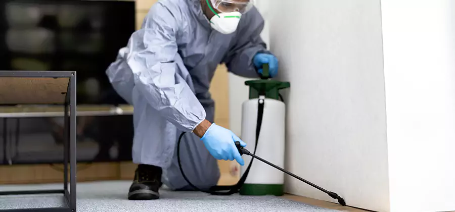 Wood Protection Termite Treatment in Oakton