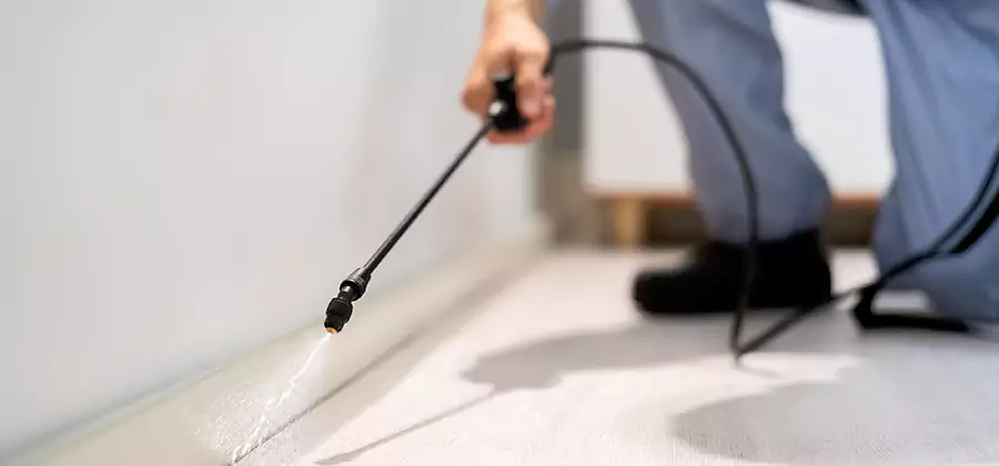 Direct Termite Injection Treatment in Oakton