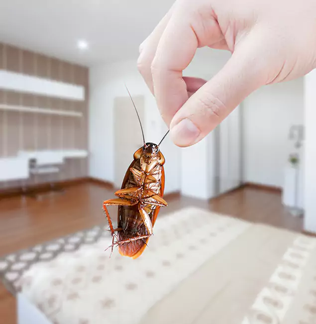 Why Oakton Pest Control Pro Stand Out for Bed Bug Fumigation in Oakton, VA?