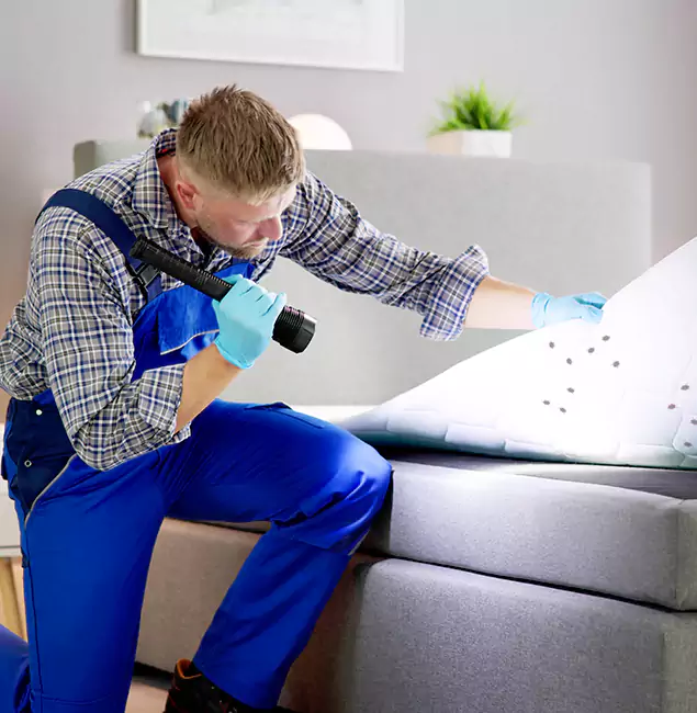 Why Choose Oakton Pest Control Pro For Bed Bug Heat Treatment in Oakton, VA?